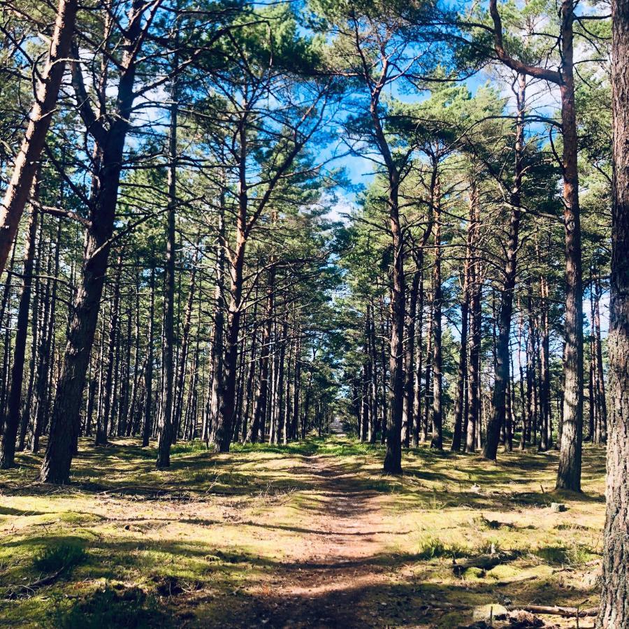 Piekny Domek Z Duzym Ogrodem Kopalino Exterior foto